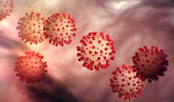 corona virus