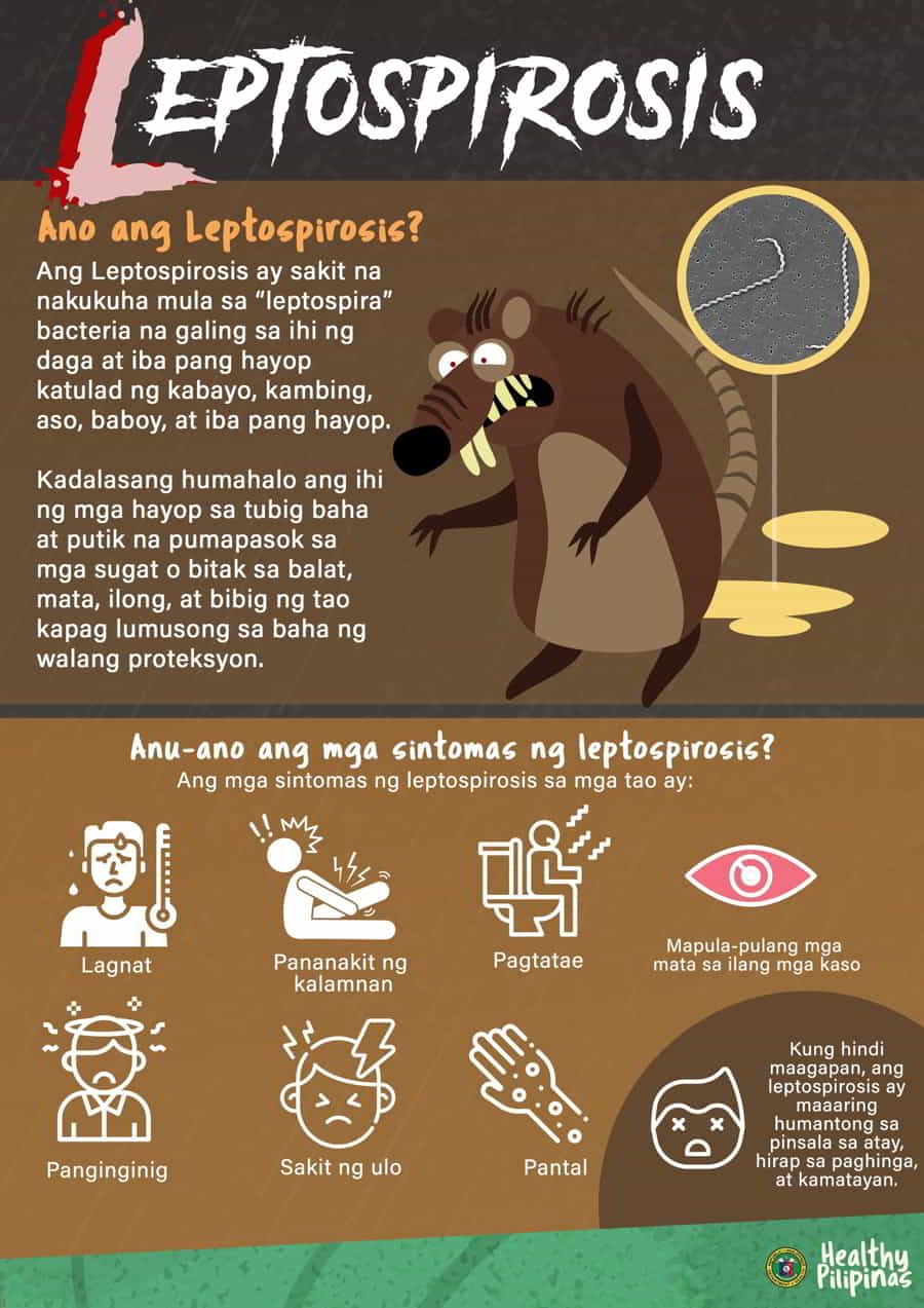 leptospirosis