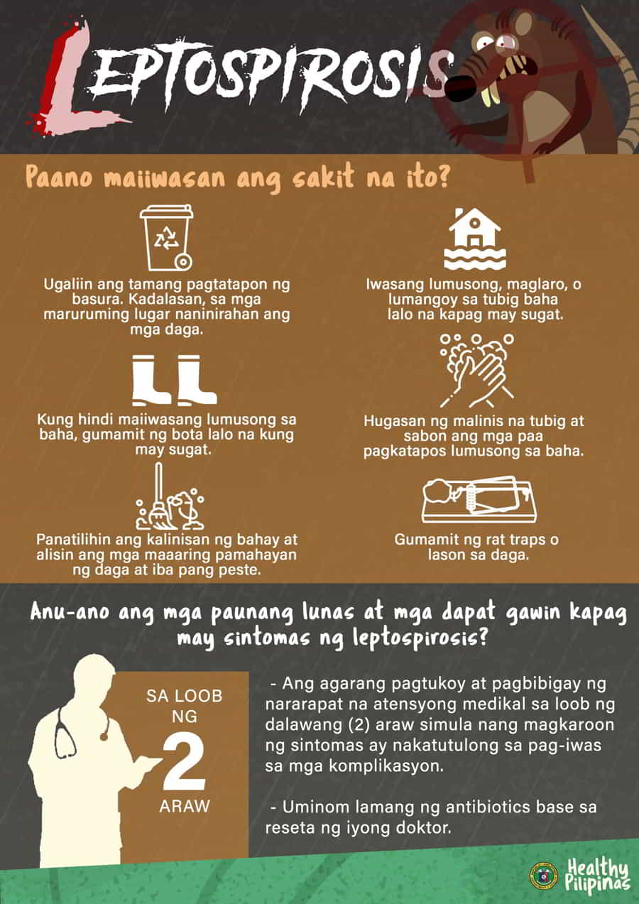 leptospirosis