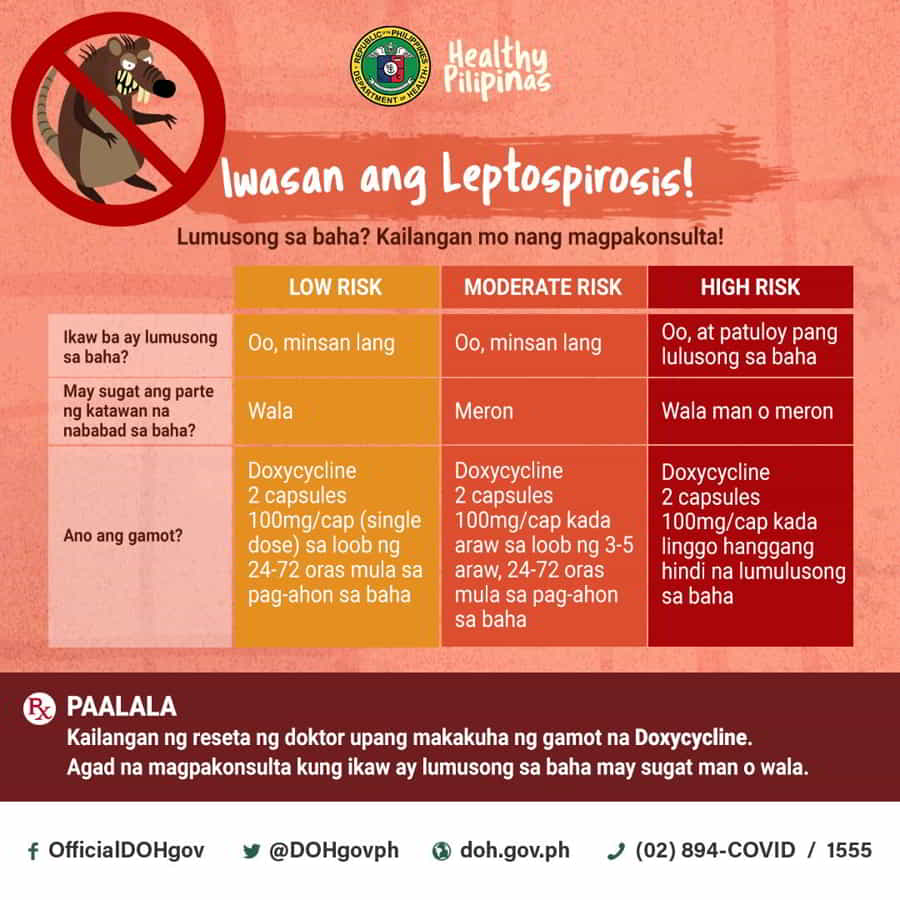 leptospirosis 
